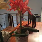 Mega House Katania
